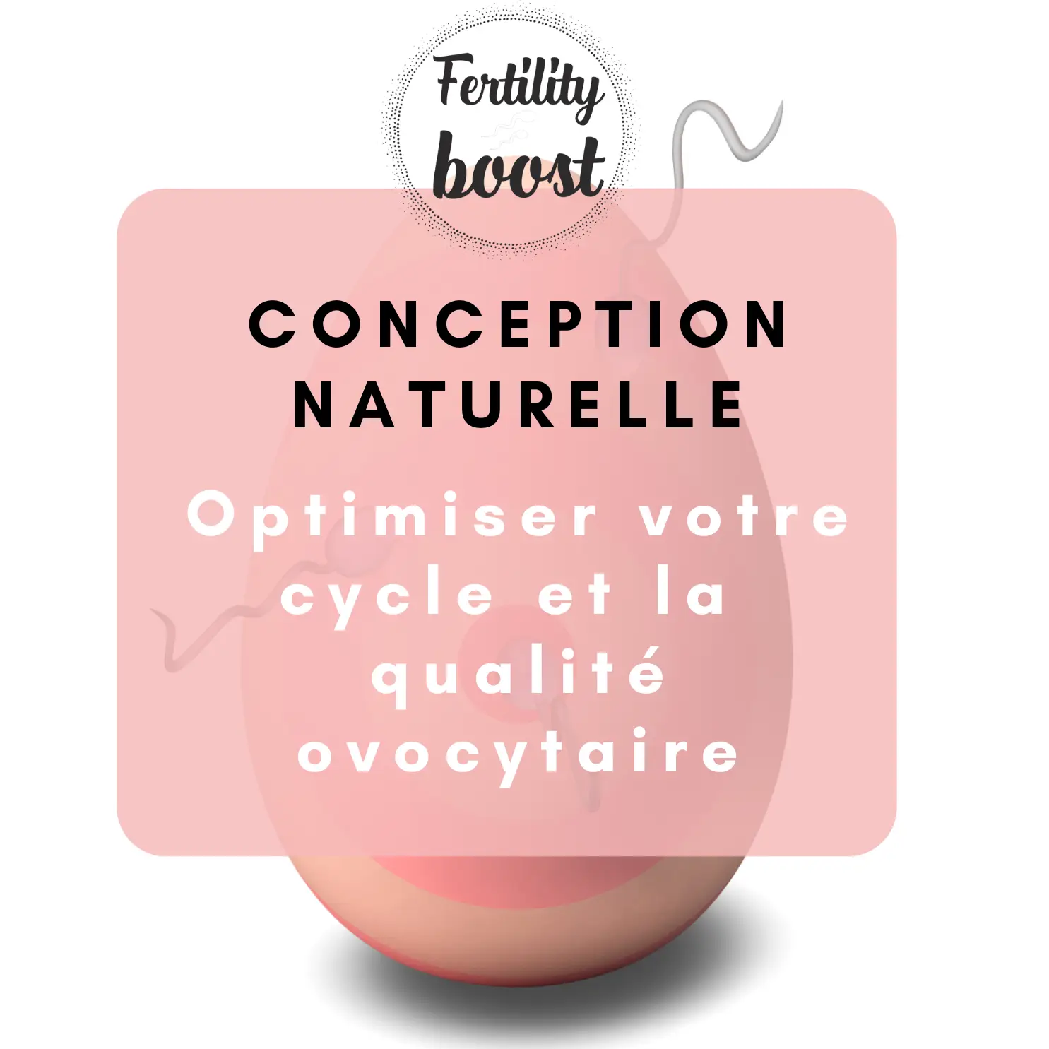 Bilan féminin