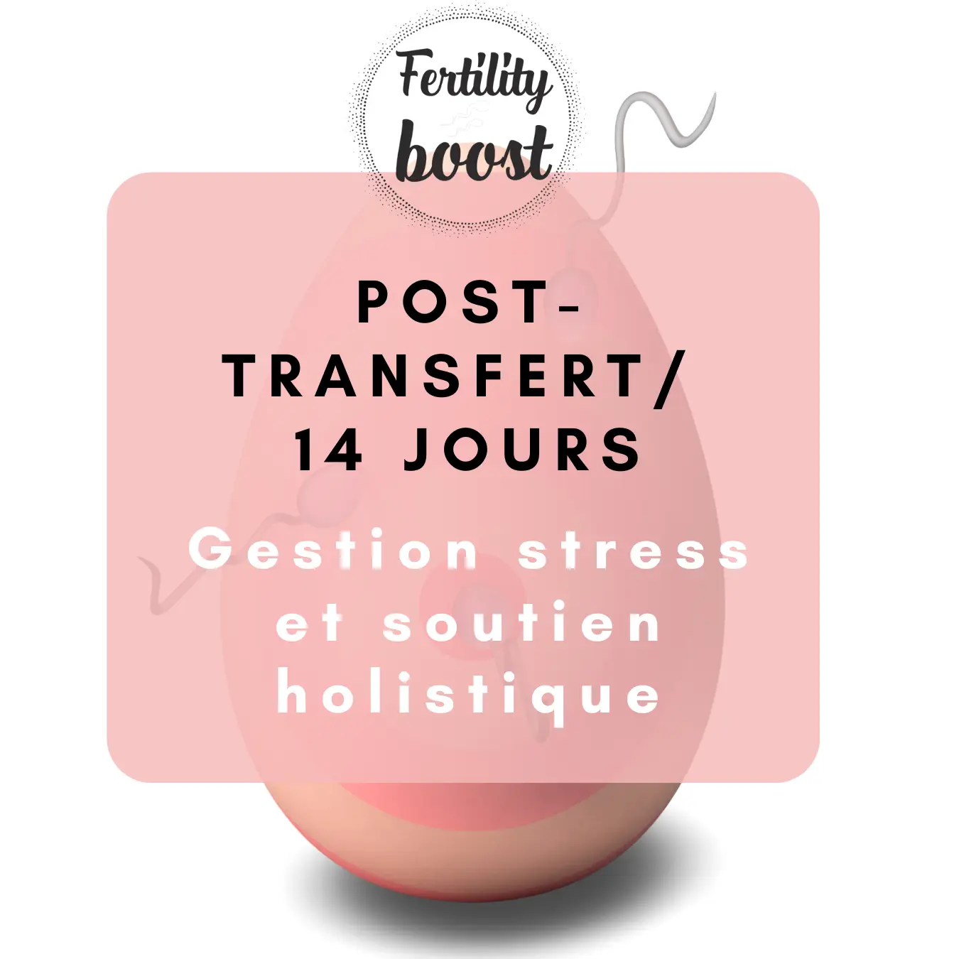 Post-transfert embryonnaire